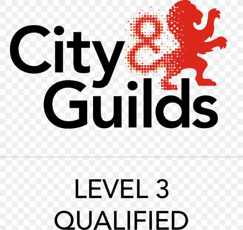 City And Guilds Of London Institute City Of London Organization Vocational Education Chief Executive, PNG, 867x821px, City And Guilds Of London Institute, Area, Brand, Chief Executive, City Of London Download Free