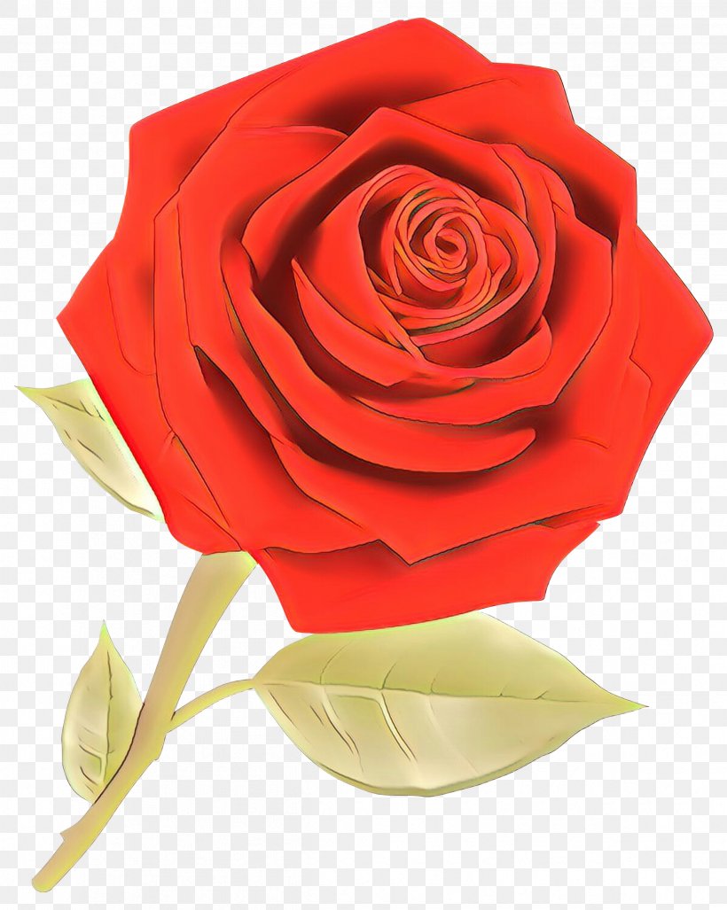 Garden Roses Cabbage Rose Cut Flowers Floristry Flower Bouquet, PNG, 2394x3000px, Garden Roses, Botany, Bouquet, Cabbage Rose, China Rose Download Free