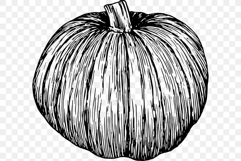 Pumpkin Pie Black And White Vegetable Clip Art, PNG, 600x548px, Pumpkin, Black, Black And White, Cucurbita Pepo, Drawing Download Free