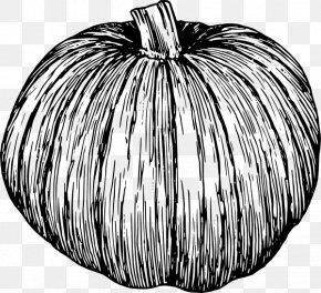 ice skaters clipart black and white pumpkin