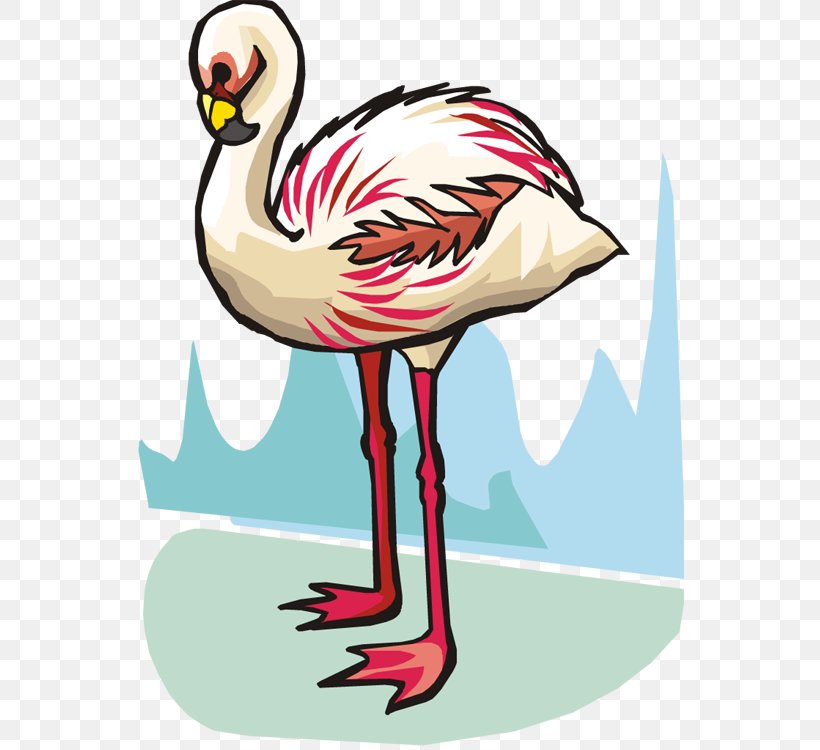 Bird Flamingo Clip Art, PNG, 549x750px, Bird, Animation, Art, Artwork, Beak Download Free