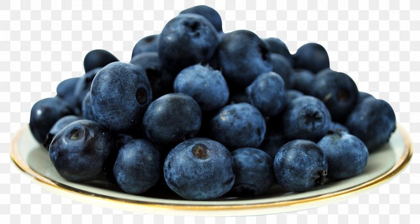 Blueberry Frutti Di Bosco Fruit, PNG, 1460x783px, Juice, Berry, Bilberry, Blueberry, Flavor Download Free