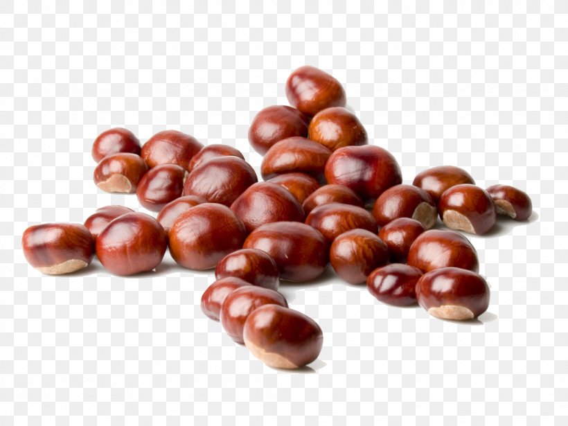 Chinese Chestnut Roasted Chestnuts Eating Food Sugar, PNG, 1024x768px, Chinese Chestnut, Autumn, Azuki Bean, Bean, Chestnut Download Free