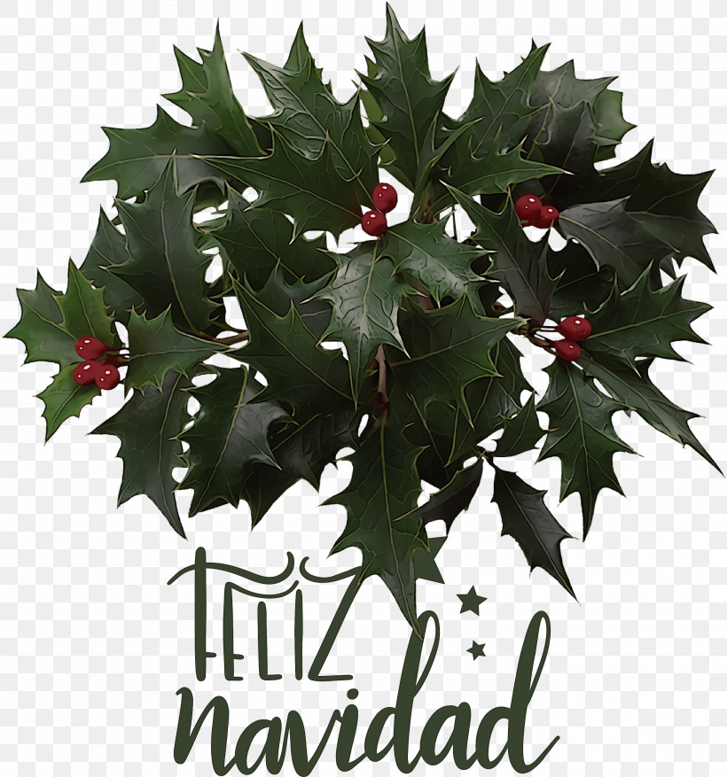 Feliz Navidad Merry Christmas, PNG, 2802x3000px, Feliz Navidad, Aquifoliaceae, Aquifoliales, Branch, Christmas Day Download Free