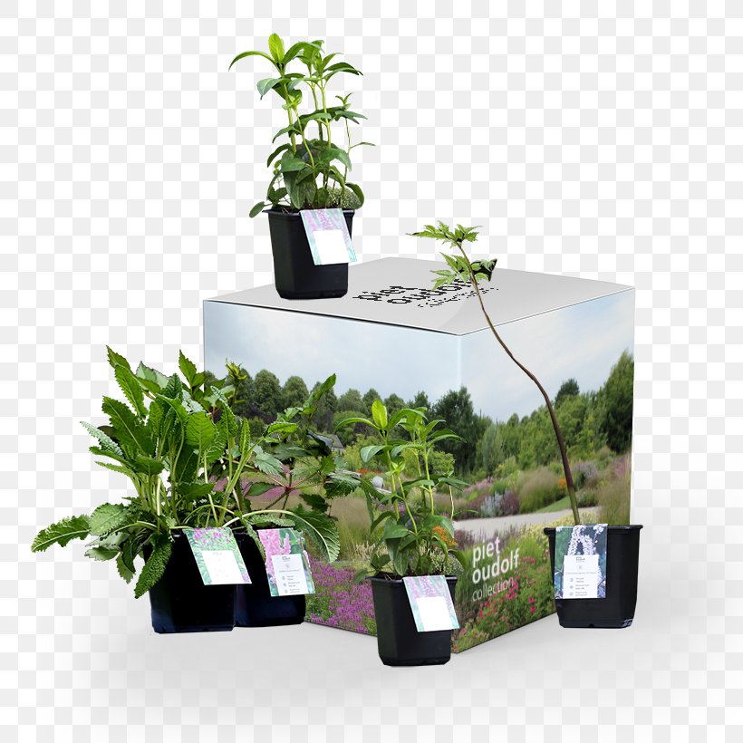 Flowerpot Garden Houseplant Piet Oudolf Collection, PNG, 820x820px, Flowerpot, Box, Container, Garden, Herb Download Free