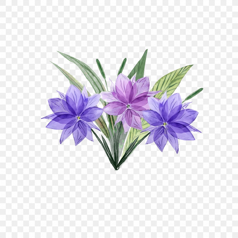 Lavender, PNG, 1440x1440px, Chicory, Bellflower Family, Biology, Flower, Lavender Download Free