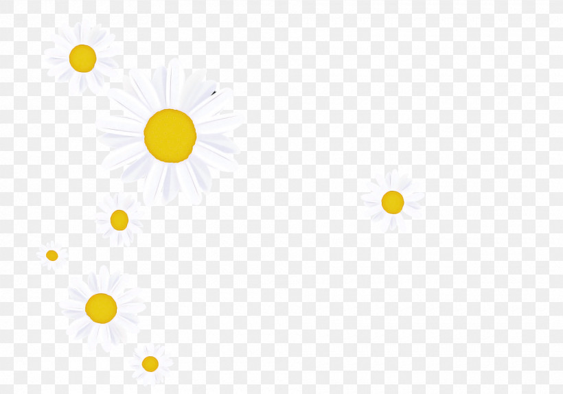 Petal Circle Flower Yellow Meter, PNG, 1920x1344px, Petal, Analytic Trigonometry And Conic Sections, Circle, Flower, Mathematics Download Free