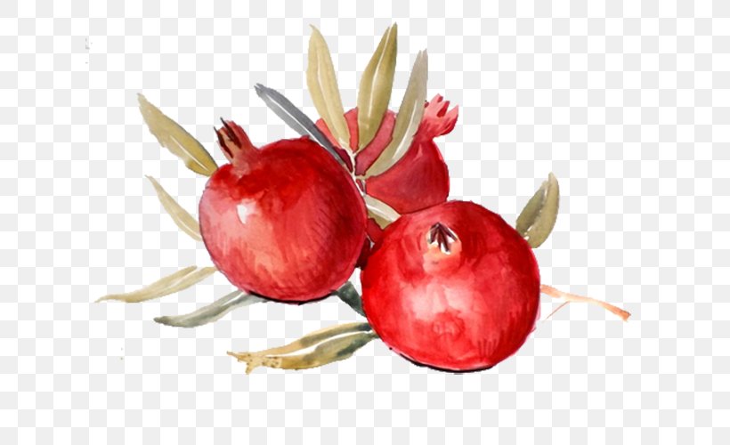 Pomegranate Paper Watercolor Painting Food Kitchen, PNG, 627x500px, Pomegranate, Apple, Art, Christmas Gift, Cranberry Download Free