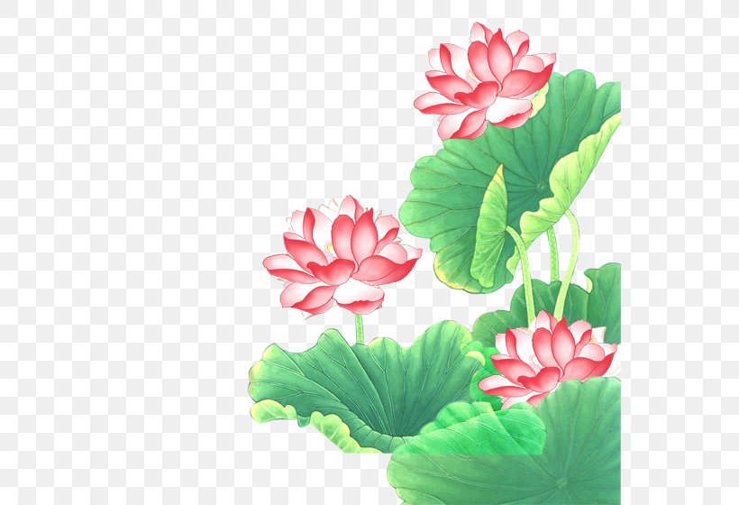 Chuxiong City Euclidean Vector, PNG, 559x560px, Chuxiong City, Annual Plant, Aquatic Plant, Chinese New Year, Designer Download Free