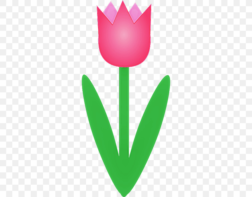 Tulip Logo Leaf Plant Flower, PNG, 640x640px, Tulip, Flower, Leaf, Lily Family, Logo Download Free