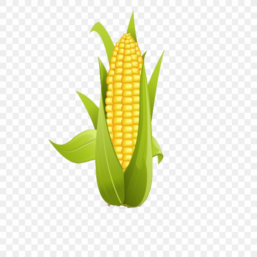 Corn On The Cob Sweet Corn Clip Art, PNG, 2953x2953px, Corn On The Cob, Commodity, Corn Starch, Field Corn, Food Download Free