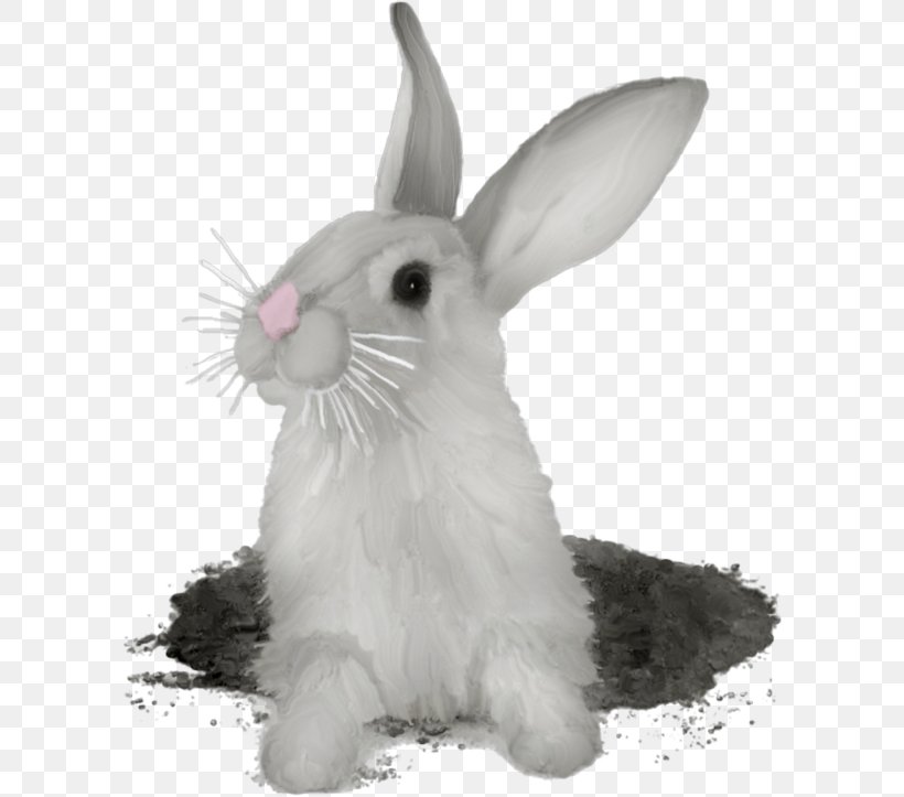 Hare Domestic Rabbit Rex Rabbit, PNG, 600x723px, Hare, Animal, Black And White, Burrow, Domestic Rabbit Download Free