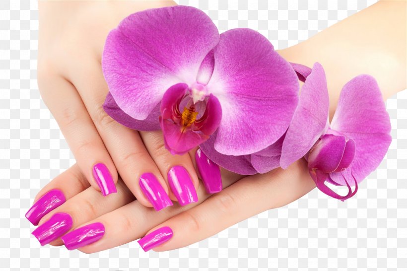 Nail Salon Nail Polish Gel Nails Pedicure, PNG, 1024x682px, Nail, Artificial Nails, Beauty Parlour, Color, Cosmetics Download Free