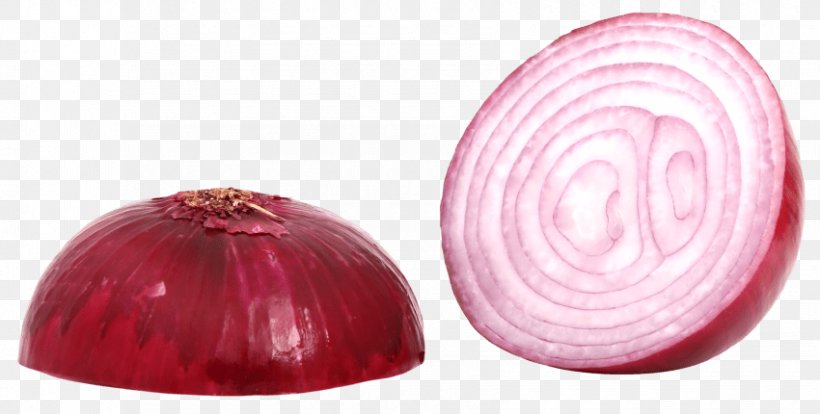 White Onion Yellow Onion Clip Art, PNG, 850x430px, White Onion, Bulb, Food, Information, Magenta Download Free