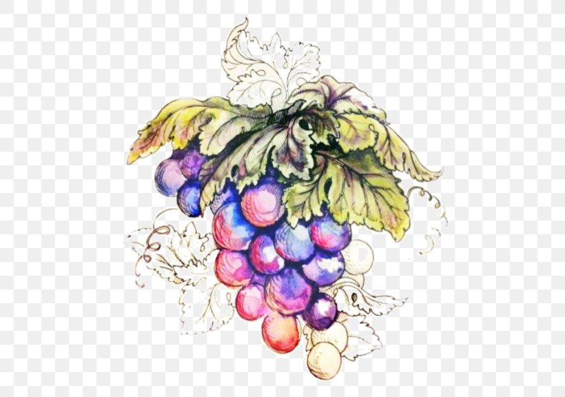 Grape Kyoho, PNG, 600x576px, Grape, Art, Christmas Ornament, Designer, Drawing Download Free