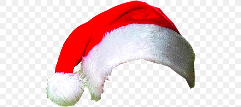 Santa Claus Bonnet Christmas Photography, PNG, 510x366px, Santa Claus, Bonnet, Christmas, Drawing, Fictional Character Download Free