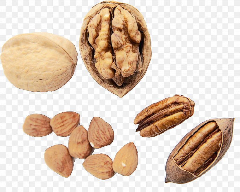 Walnut Nut Nuts & Seeds Food Almond, PNG, 2686x2149px, Watercolor, Almond, Food, Ingredient, Nut Download Free