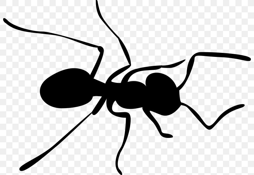 Ant Insect Bee Clip Art, PNG, 800x566px, Ant, Arthropod, Artwork, Bee, Black And White Download Free