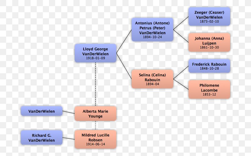 Brand Organization, PNG, 732x511px, Brand, Diagram, Organization, Text Download Free