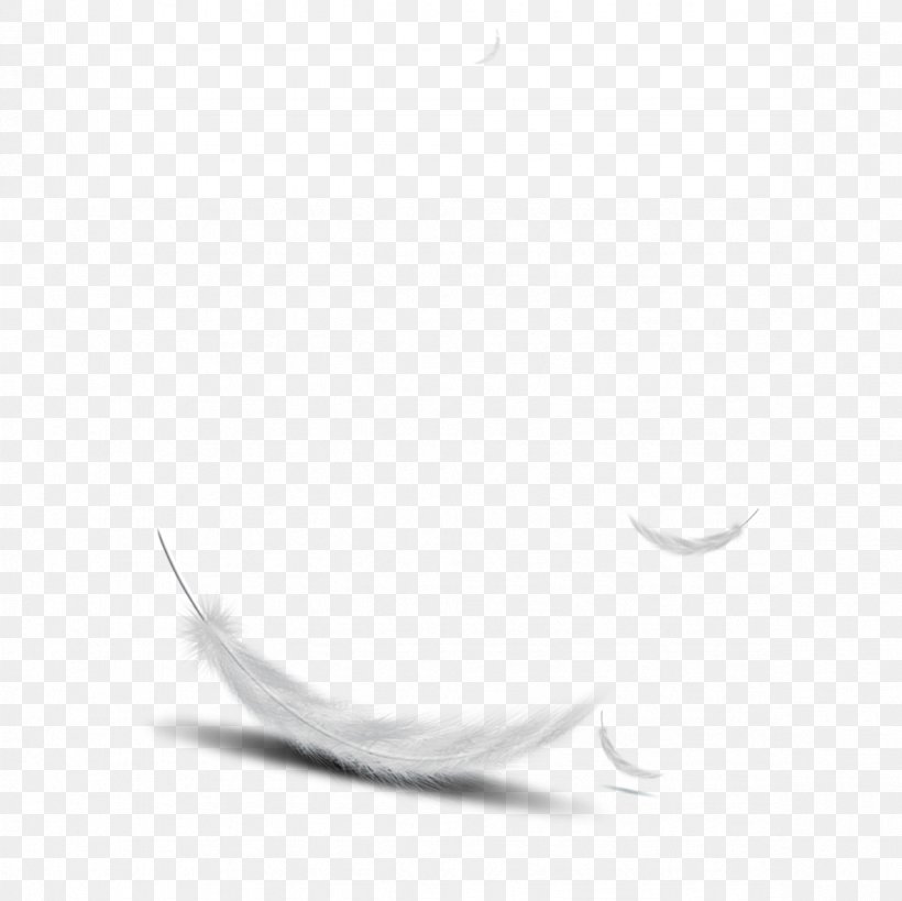 Feather Bird, PNG, 1181x1181px, Feather, Bird, Black And White, Material, White Download Free