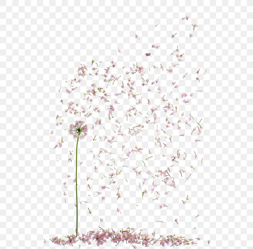 Floral Design Petal Flower Clip Art, PNG, 564x808px, Floral Design, Area, Blossom, Branch, Cherry Blossom Download Free