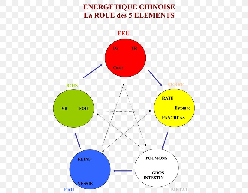 Reflexology Traditional Chinese Medicine Wu Xing Wheel Energy Medicine, PNG, 500x638px, Watercolor, Cartoon, Flower, Frame, Heart Download Free