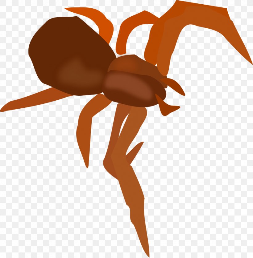 Spider Clip Art, PNG, 880x900px, Spider, Arthropod, Fictional Character, Insect, Invertebrate Download Free