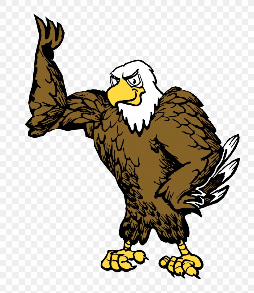 Bald Eagle Owl Hawk Beak, PNG, 1200x1387px, Bald Eagle, Beak, Bird, Bird Of Prey, Eagle Download Free
