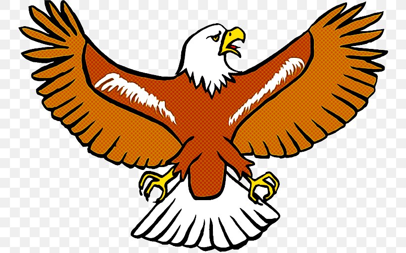 Eagle Logo, PNG, 750x512px, Bald Eagle, Accipitridae, Beak, Bird, Bird Of Prey Download Free