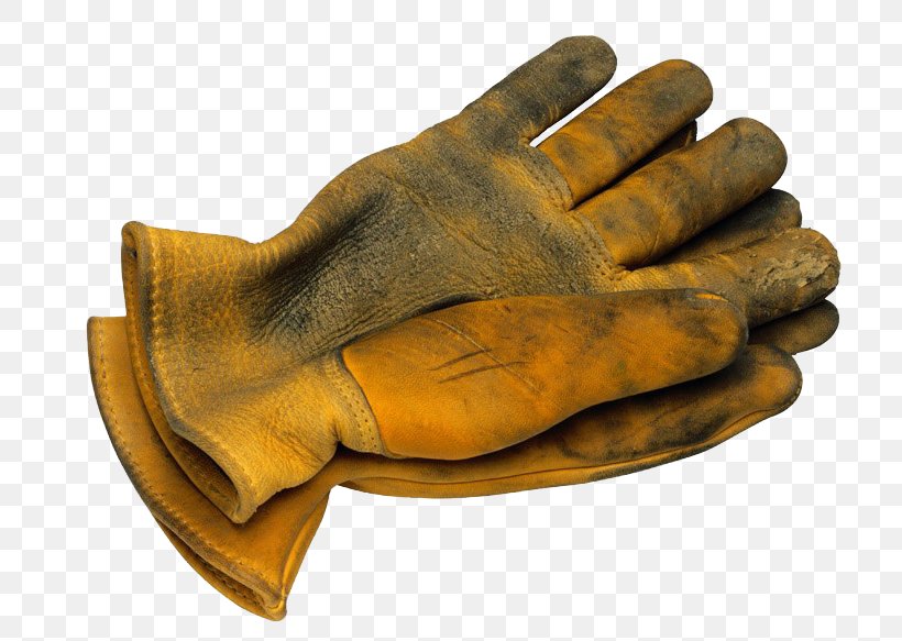 Glove Stock Photography Laborer, PNG, 800x583px, Glove, Clothing, Designer, Finger, Fotosearch Download Free