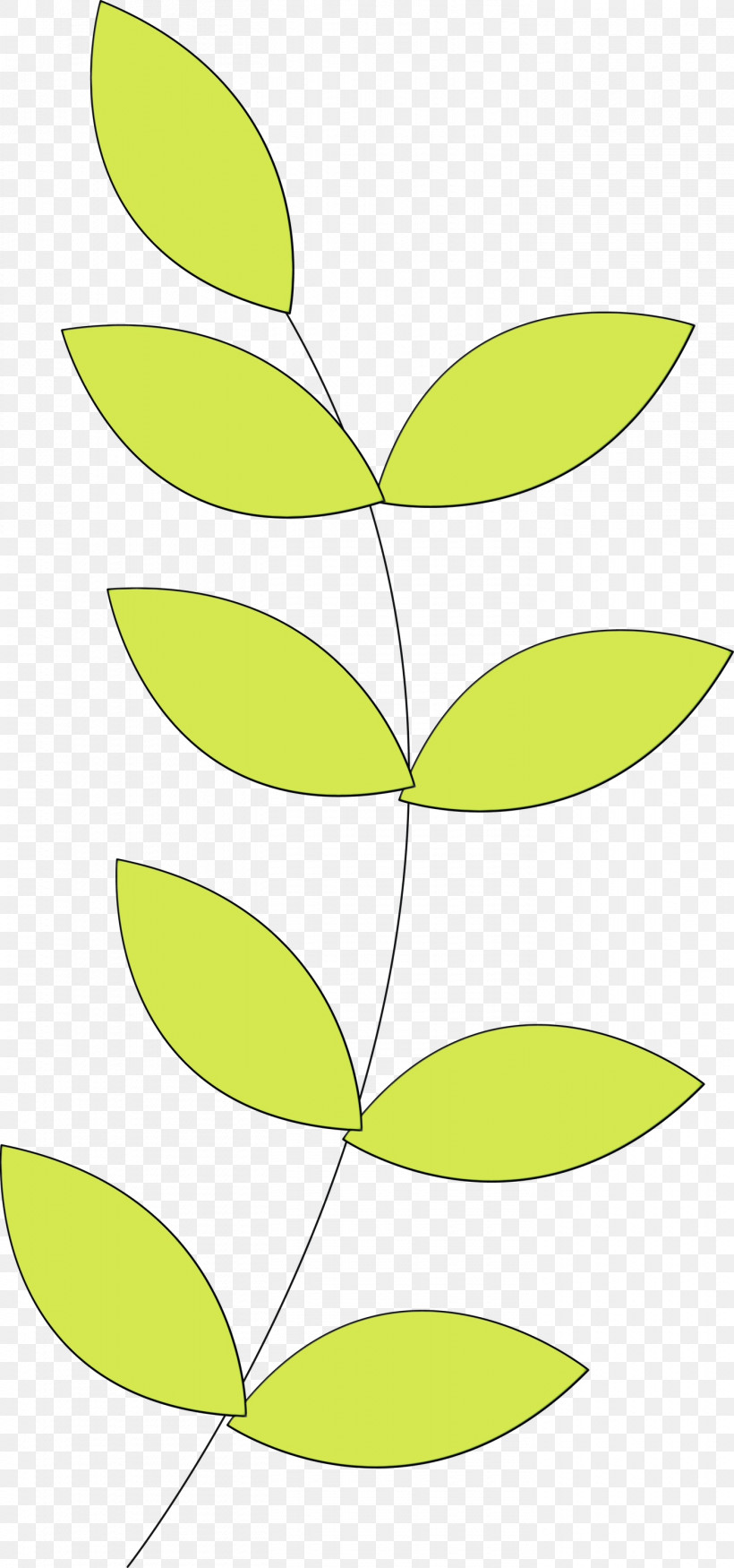 Leaf Plant Stem Angle Line Yellow, PNG, 1405x3000px, Watercolor, Angle, Area, Biology, Leaf Download Free