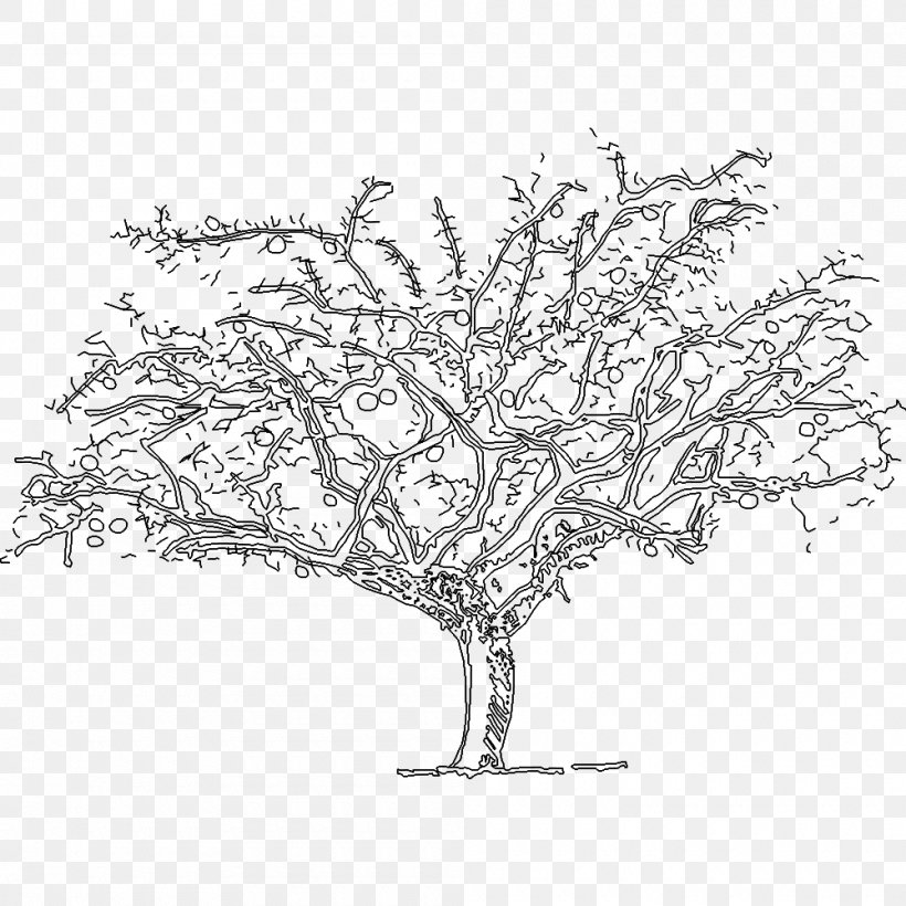 Naxos Delos Art Painter Painting, PNG, 1000x1000px, Naxos, Area, Art, Black And White, Branch Download Free