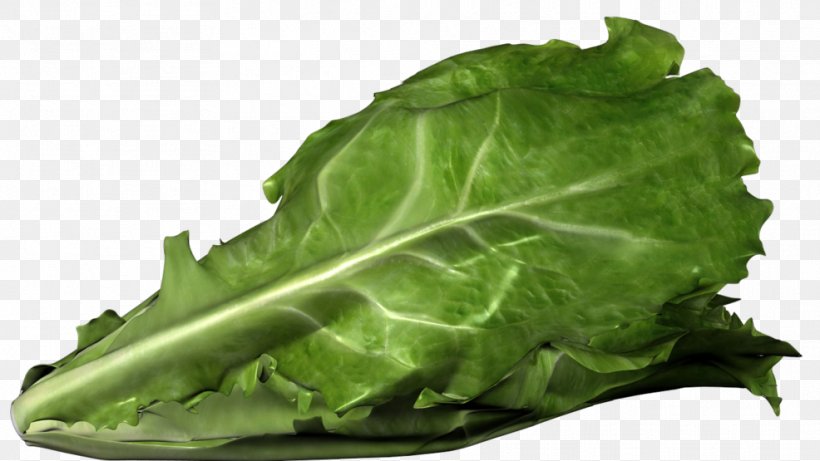 Romaine Lettuce Centers For Disease Control And Prevention Health Outbreak, PNG, 986x555px, Romaine Lettuce, Cabbage, Chard, Collard Greens, Eating Download Free