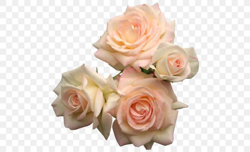 Rose Pink Flowers Pink Flowers Purple, PNG, 500x500px, Rose, Artificial Flower, Blue, Cut Flowers, Floral Design Download Free