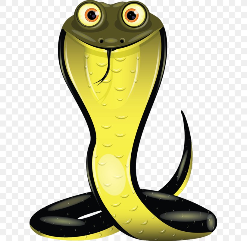 Snake King Cobra Clip Art, PNG, 623x800px, Snake, Amphibian, Art, Cobra, Drawing Download Free