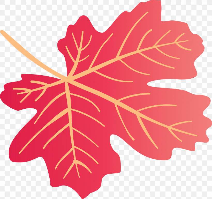 Autumn Leaf Colourful Foliage Colorful Leaves, PNG, 3000x2816px, Autumn Leaf, Biology, Colorful Leaf, Colorful Leaves, Colourful Foliage Download Free