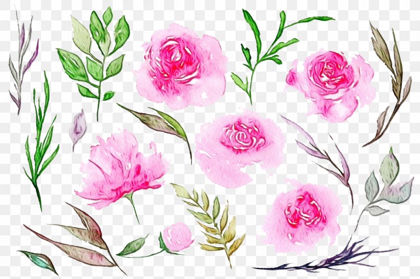 Bouquet Of Flowers Drawing, PNG, 1160x772px, Watercolor, Cabbage Rose, Chinese Peony, Common Peony, Cut Flowers Download Free