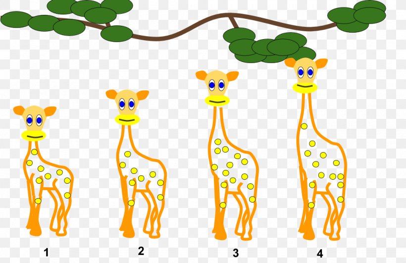 Giraffe Lamarckism Organism Evolution Clip Art, PNG, 1120x726px, Giraffe, Animal, Animal Figure, Area, Body Jewelry Download Free