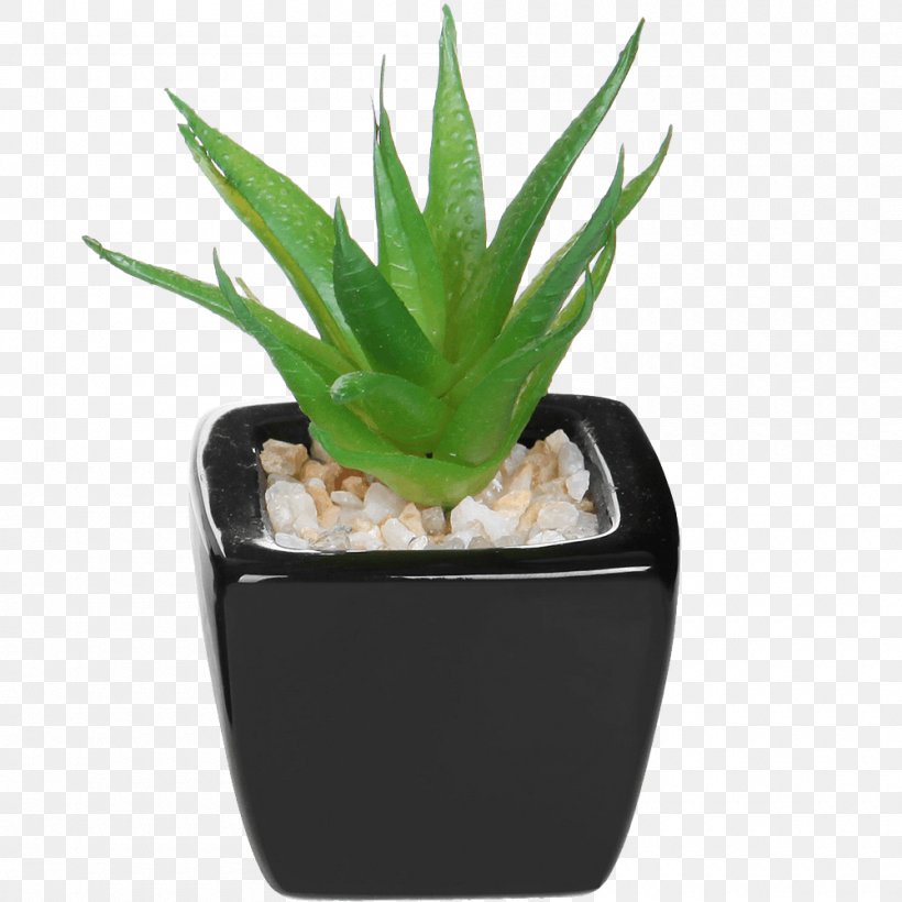 Succulent Plant Flowerpot Artificial Flower Agave, PNG, 1000x1000px, Succulent Plant, Agave, Aloe, Aloe Vera, Artificial Flower Download Free