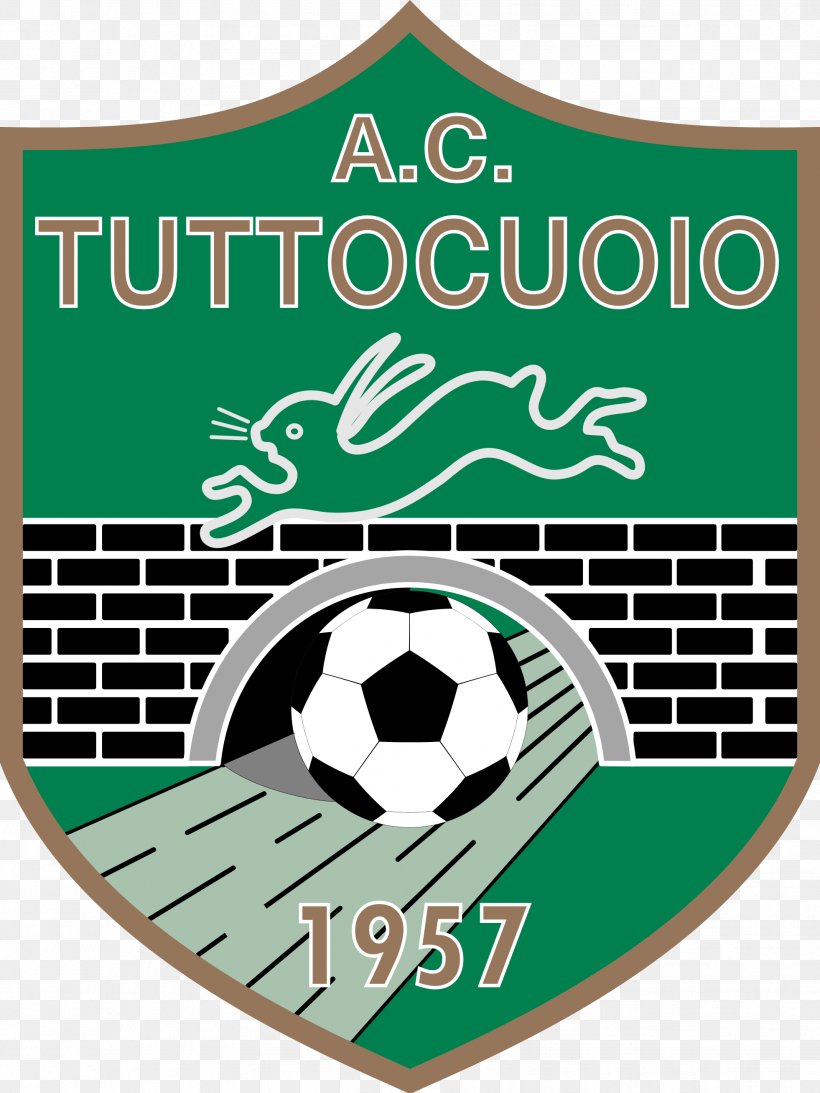 A.C. Tuttocuoio 1957 San Miniato Serie C Serie D Ponte A Egola A.S. Viterbese Castrense, PNG, 1962x2616px, Serie C, Area, As Viterbese Castrense, Ball, Brand Download Free