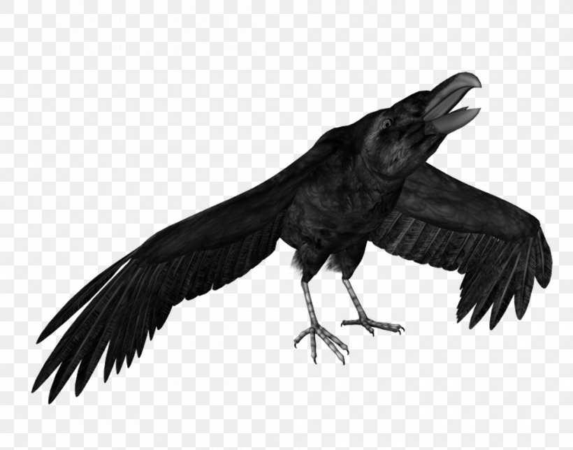 American Crow Macabre Idea Writer Ghoul, PNG, 1000x786px, American Crow, Bane, Beak, Bird, Bird Of Prey Download Free