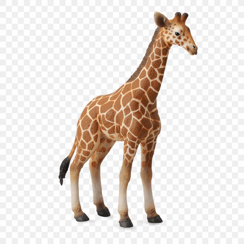 Calf Reticulated Giraffe Collecta Giraffe Animal Figurine, PNG, 1024x1024px, Calf, Animal, Animal Figure, Animal Figurine, Figurine Download Free