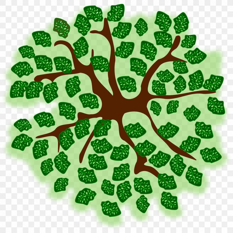 Green Leaf Tree Font, PNG, 2400x2400px, Green, Grass, Leaf, Organism, Tree Download Free