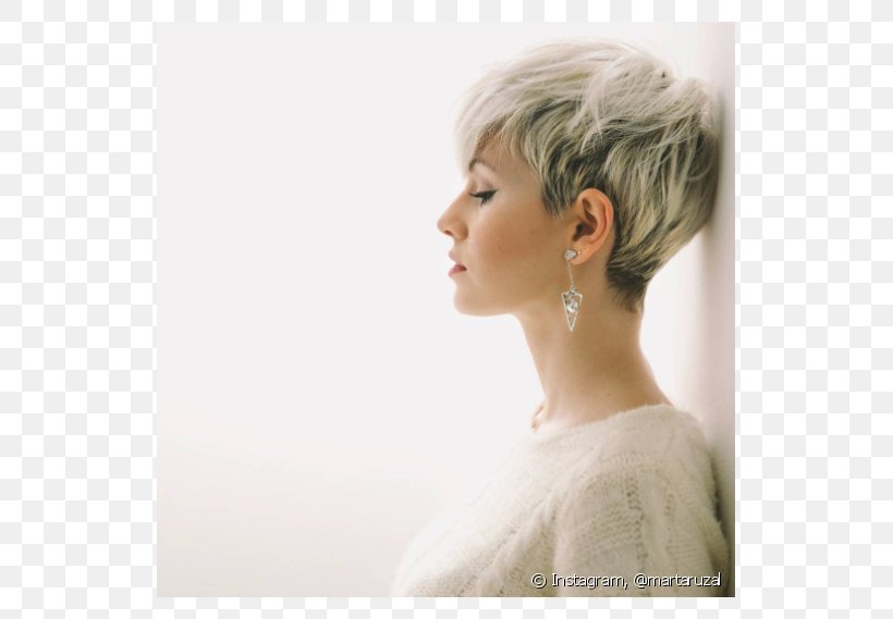 Pixie Cut Hairstyle Short Hair Cosmetologist Png 790x569px