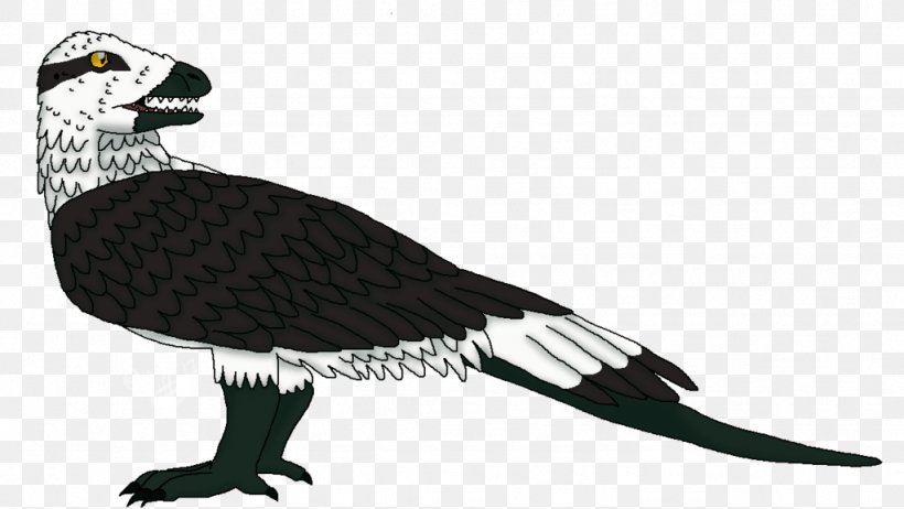 Vulture Water Bird Beak Fauna, PNG, 1024x577px, Vulture, Animal, Animal Figure, Beak, Bird Download Free