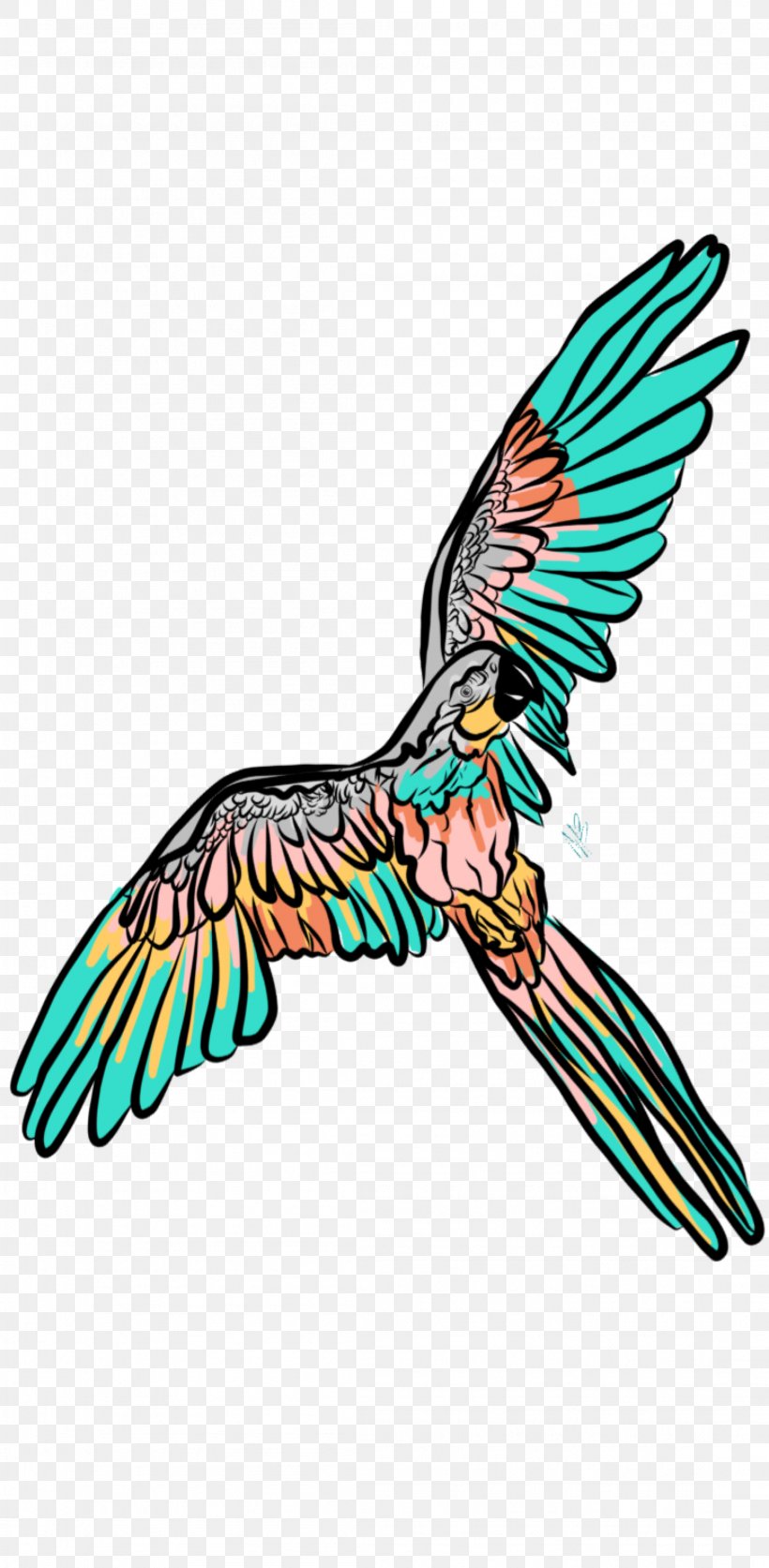 Beak Feather Pollinator Eagle Clip Art, PNG, 2199x4487px, Beak, Artwork, Bird, Eagle, Fauna Download Free