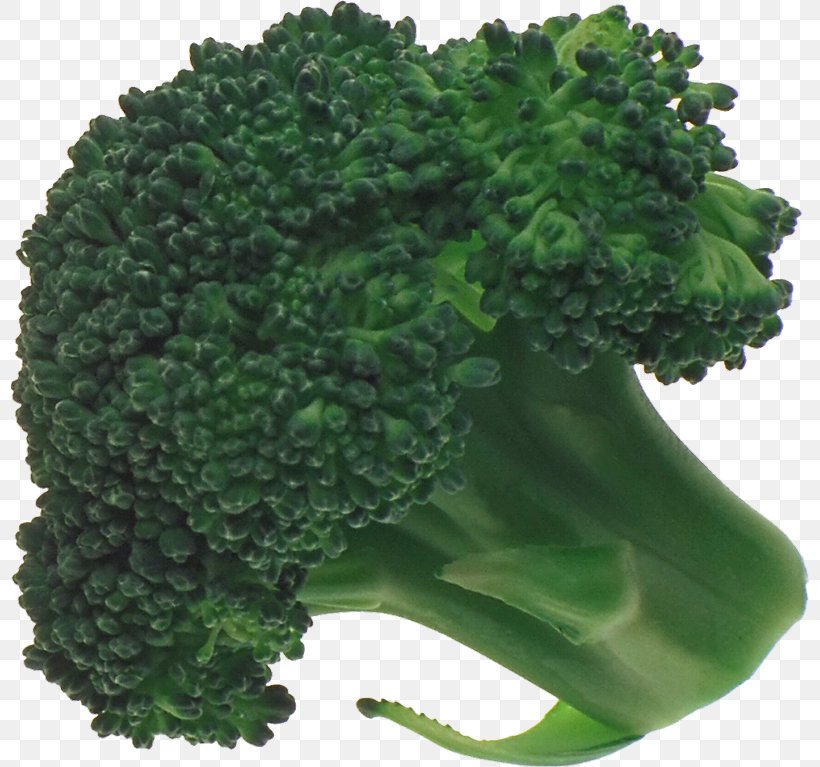 Broccoli Vegetable Graphics Software, PNG, 800x767px, Broccoli, Austral Pacific Energy Png Limited, Copying, Food, Graphics Software Download Free