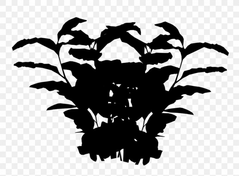 Devil's Ivy Plants Common Ivy Flowerpot Vine, PNG, 957x705px, Devils Ivy, Blackandwhite, Botany, Common Ivy, Flowerpot Download Free