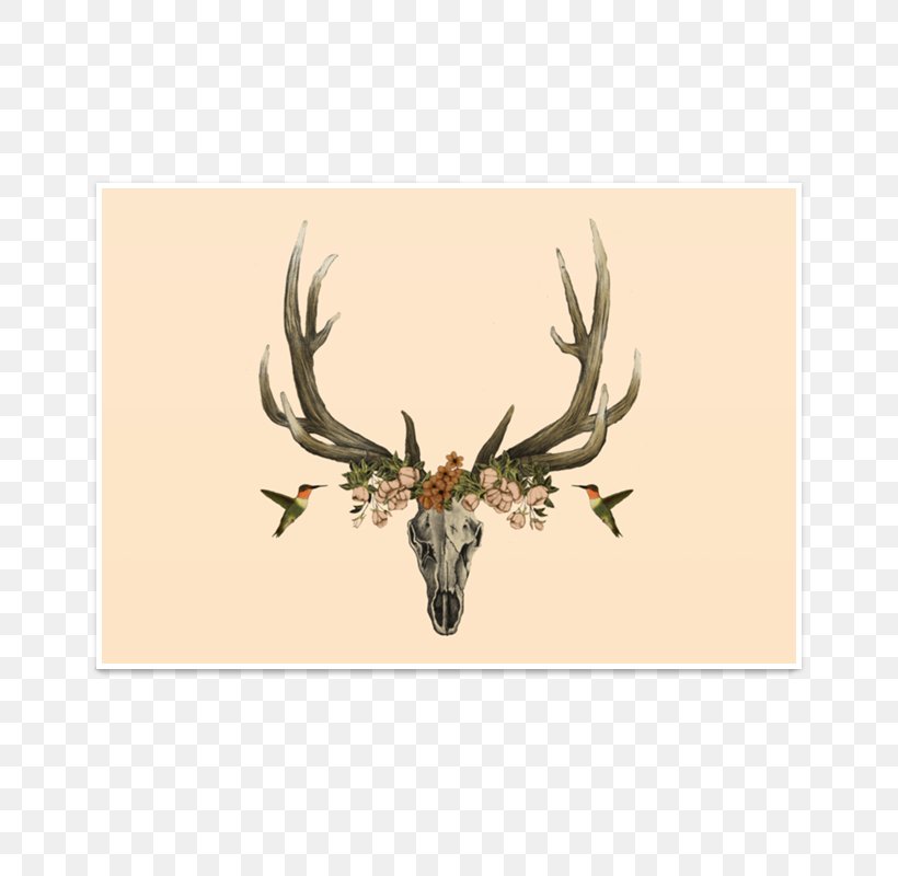 Elk Culture La Calavera Catrina Lifestyle Symbol, PNG, 800x800px, Elk, Antler, Behavior, Blog, Culture Download Free