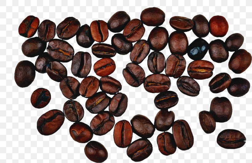 Plant Food Bean Seed Java Coffee, PNG, 1024x665px, Plant, Bean, Caffeine, Food, Java Coffee Download Free